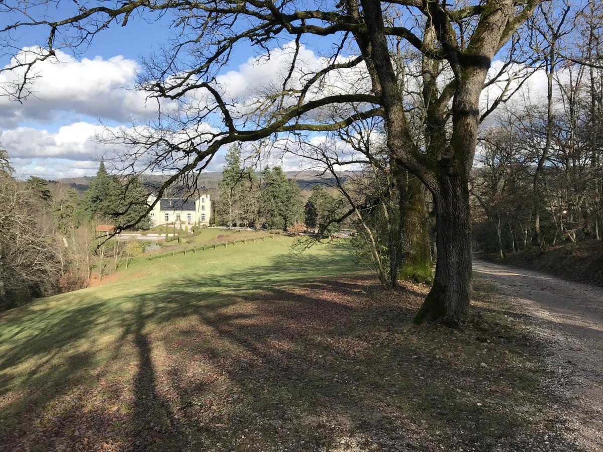 Domaine Le Castelet Bed & Breakfast Castres  Bagian luar foto
